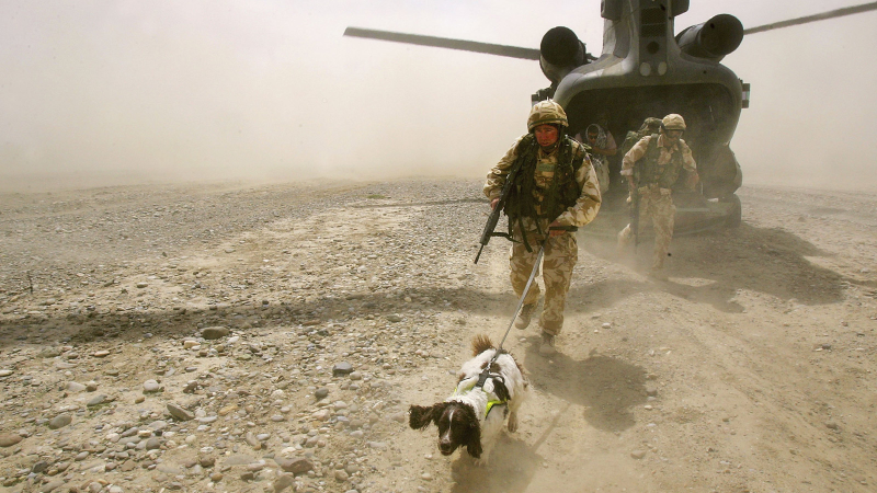 Illustration for article titled 26 Awesome Photos of War Dogs Showing How Badass and Cute They Can Be